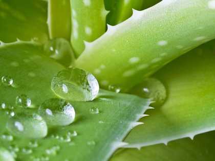 Urologist: 90% of Men with E.D Don't Know About This Easy Fix (Try It Tonight)