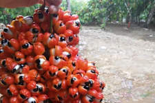 Everyone Who Believes in God Should Watch This. It Will Blow Your Mind