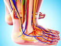 Neurologist Begs People With Neuropathy and Nerve Pain: Stop Doing This Now