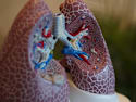 How to Remove All Mucus From Your Lungs (It's Genius)