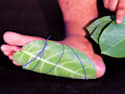Want to Stop Your Nerve Pain? Try This Tonight
